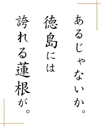 あるじゃないか。 徳島には 誇れる蓮根が。